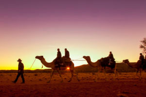sunset-camel-tour-alice-springs-australia