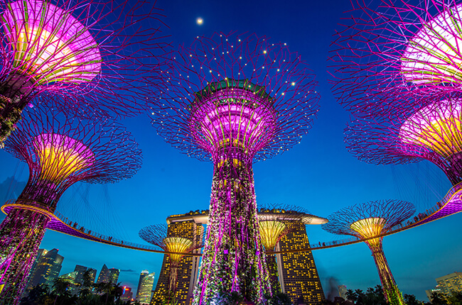Photo looking up at the Gardens By The Bay light show in Singapore at night, vibrant pinks and purples paired with deep blues of the night sky