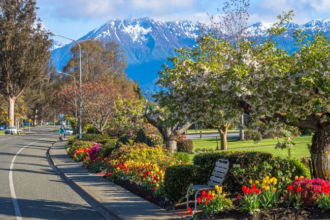 Pretty gardens in the township of Te Anau, New Zealand on a sunny day