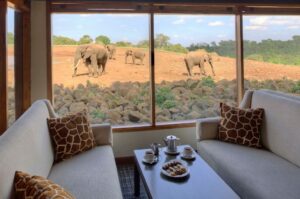 The Ark hotel kenya - view point