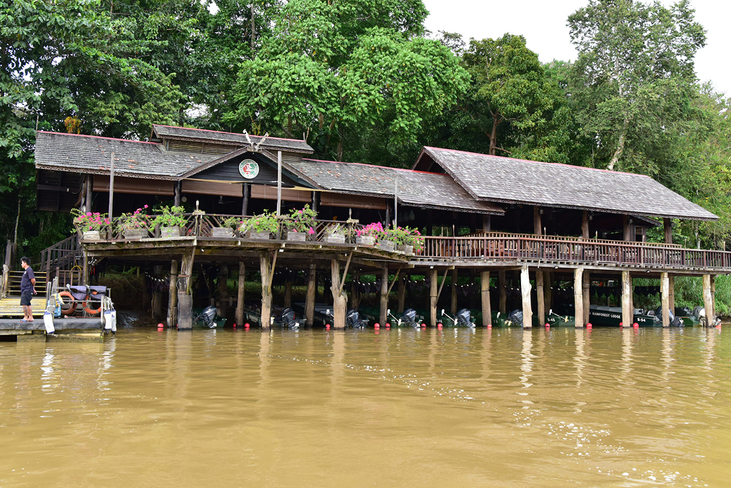 Kinabatangan River – Sukau Rainforest Lodge