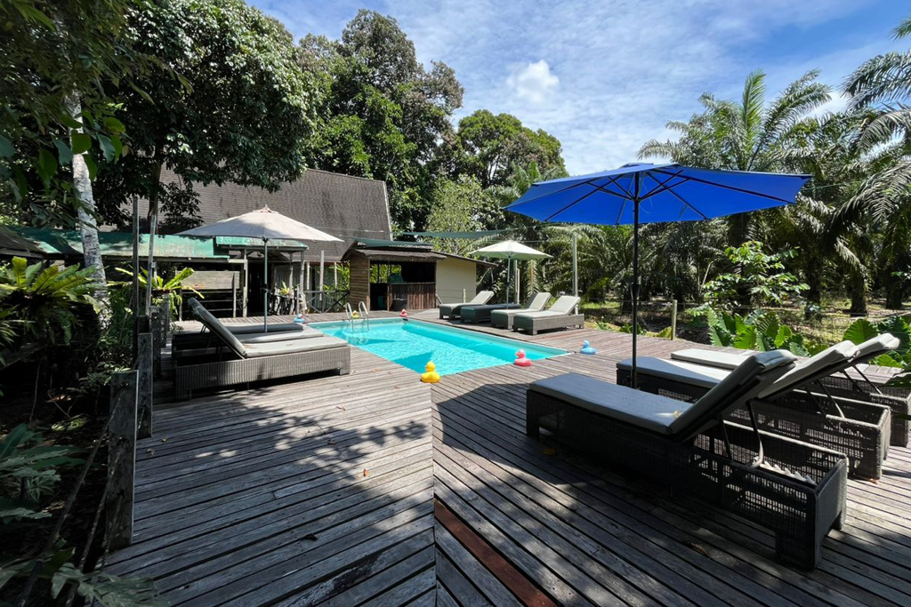 Kinabatangan River – Sukau Rainforest Lodge